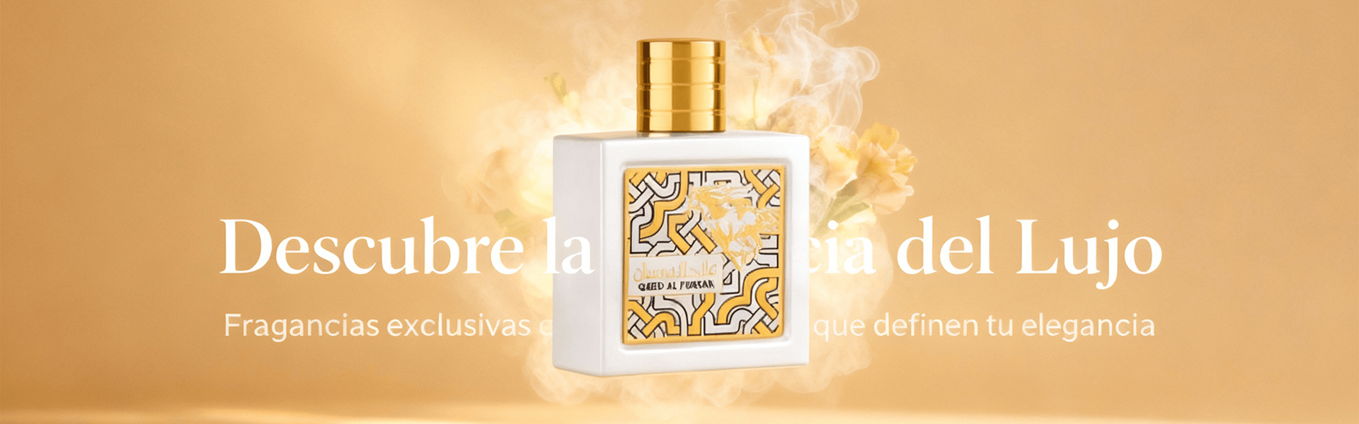 small banner image 2